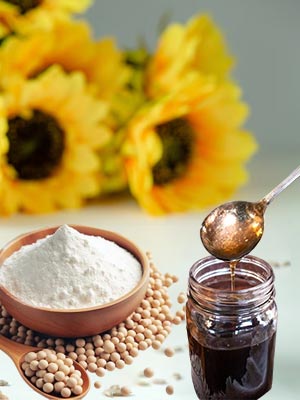 Soya and Sunflower Lecithin Manufacturers in United Arab Emirates (UAE)