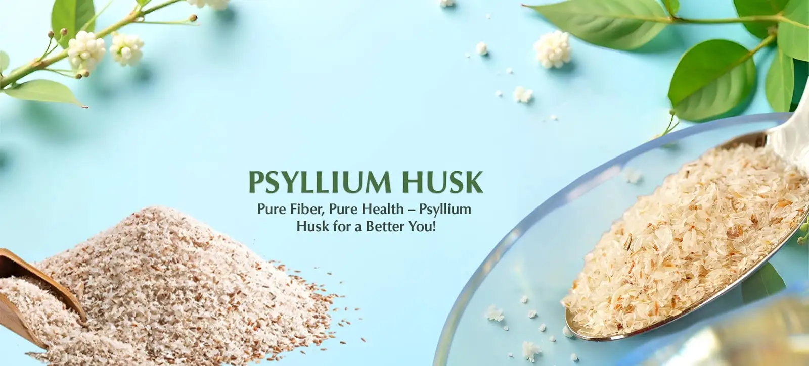 Psyllium Husk in United Arab Emirates (UAE)
