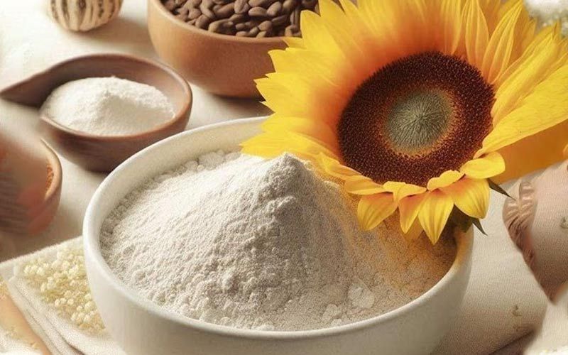 How Helpful Is Sunflower Lecithin Powder in United Arab Emirates (UAE) for Skin and Hair?