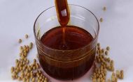 How to Find Quality Lecithin in United Arab Emirates (UAE)?