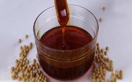 How to Find Quality Lecithin in United Arab Emirates (UAE)?