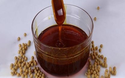 How to Find Quality Lecithin in United Arab Emirates (UAE)?