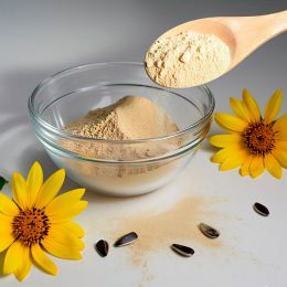 Sunflower Lecithin Powder Manufacturers in United Arab Emirates (UAE)