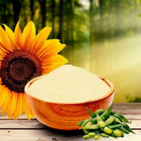 Top 5 Best Soya and Sunflower Lecithin Manufacturers in United Arab Emirates (UAE)