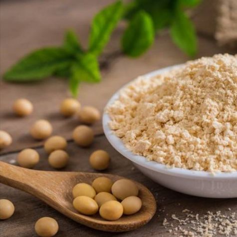 Non GMO Soya Lecithin Powder Food Grade Manufacturers, Suppliers in United Arab Emirates (UAE)