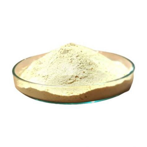 Non GMO Soya Lecithin Powder PC30 Manufacturers, Suppliers in United Arab Emirates (UAE)