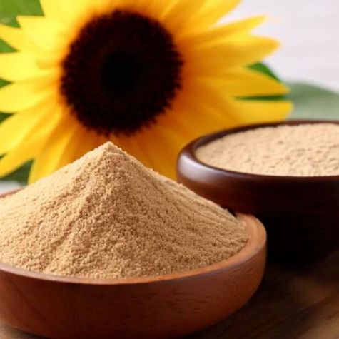 Sunflower Lecithin Powder Manufacturers, Suppliers in United Arab Emirates (UAE)